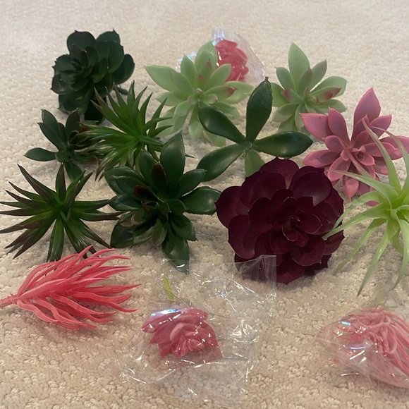 Faux succulents - Picture 3 of 6